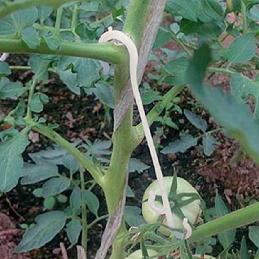 J-образный крючок для ушей с фруктами, черри, помидорами, садовыми овощами, виноградом, опорой для лозы, застежкой, завязанными зажимами, решеткой, фиксированной пряжкой