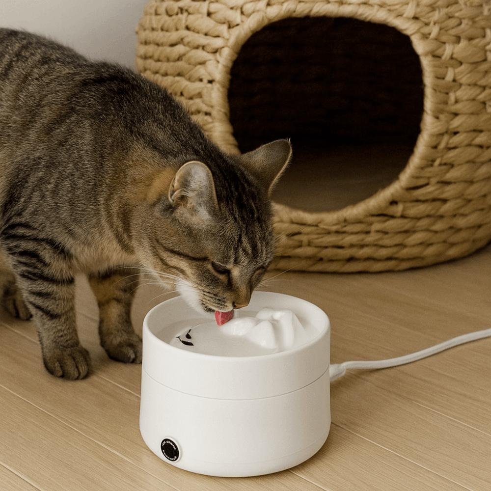 Ultra Quiet Heating Dog Bowl Stainless Steel Cat Water Fountain  Multi-Pet Household