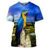 3D Print T-Shirt Colorful Wild Birds On Tree Branch Nature Scene Graphic Short Sleeve Casual Tee Top