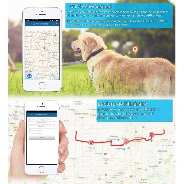 Collier GPS 4G pour Chien Suivi Temps Réel Alerte Anti-Fugue