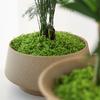30/100 г Искусственный Зеленый Мох Поделки для DIY Комнатные Растения Сказочные Сады Центральные Элементы Стола Аквариумы Микроландшафт Декоративный Искусственный Мох