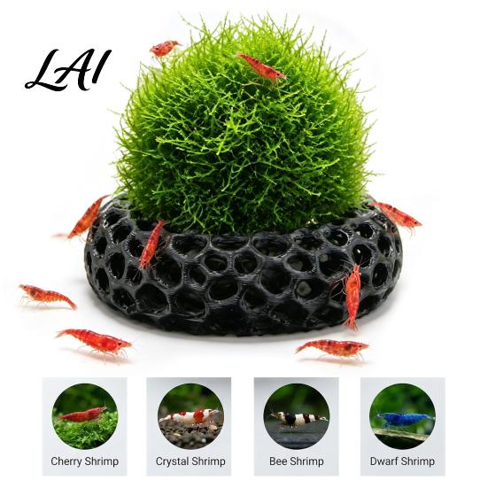 Freshwater Shrimp House 2Pcs Caves for Plants Aquarium Round Hideouts Cherry & Dwarf Small Resting Spot Hides Moss Ferns And Anubias Tank
