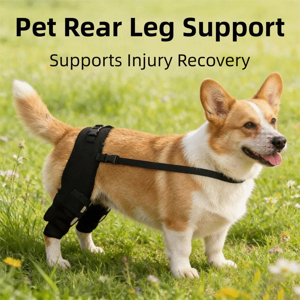 Adjustable Dog Knee Brace Comfortable Dog Leg Support Brace Pet Joint Protectors Wound Protection