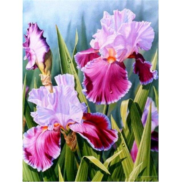 40x50 см тигр картина по номерам для взрослых DIY наборы ручная роспись животное на холсте картина маслом рисунок раскраска по номеру с рамкой