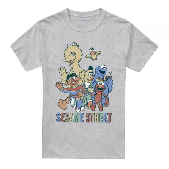 Sesame Street Unisex Adult Group T-Shirt