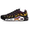 Air Max Plus Университетское Золото Фиолетовый Viotech DX2663-001
