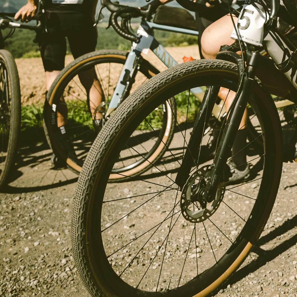 Panaracer Gravel King SK 700x26C Клинчер GRAVELKING SK Черный F726-GKSK-B2