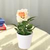 Artificial Potted Rose Desktop Faux Rose Bonsai Reusable Artificial Rose In Flower Pot for Home Office Decor Photography Prop
