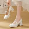 New Chinese Style Shoes Women's Thick Heel Single Shoes Spring and Autumn 2025 New Versatile High Heels To Match Skirts