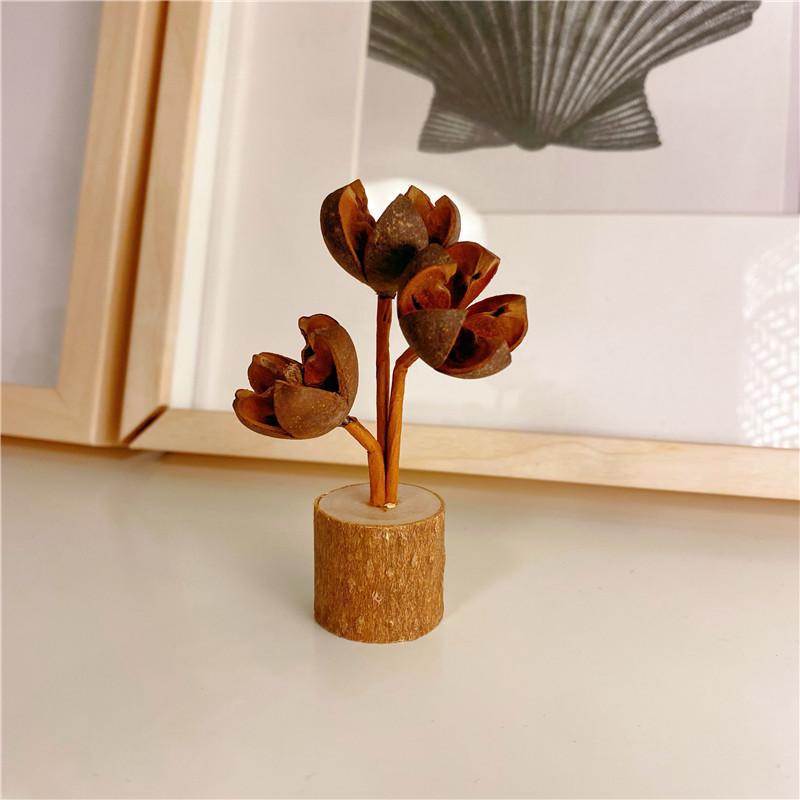Forest style pine cone desktop decoration Wabi Sabi style pure handmade DIY
