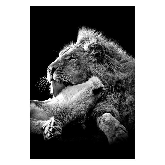 Animals Black And White Lions Love Family Prints Poster Canvas Painting Modern Wall Art Pictures Living Room Bedroom Home Decor