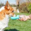 Dog Water Bottle for Pet Dog Cats Feeder Bowls Outdoor Hiking Portable Puppy Drinking Container Golden Pug