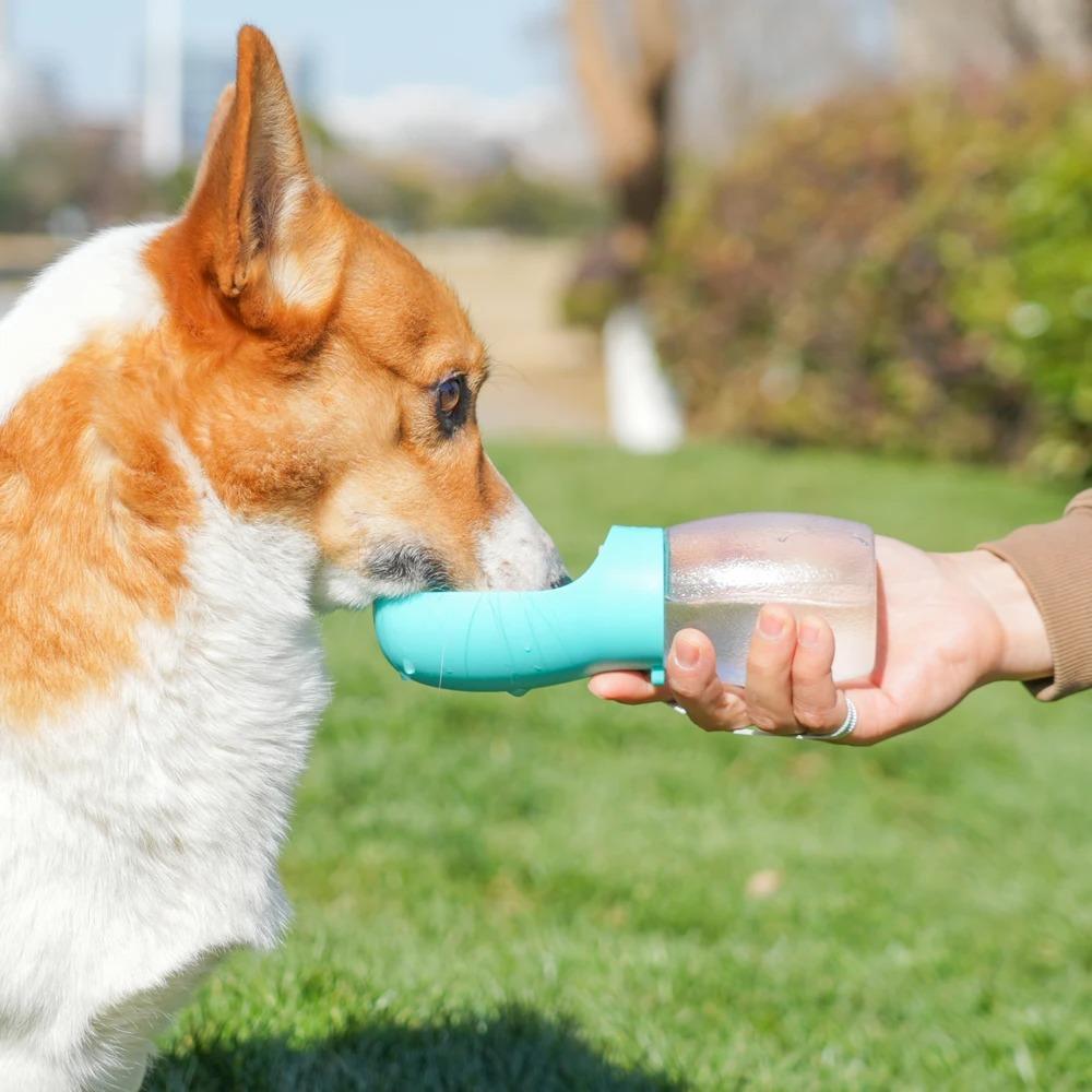 Dog Water Bottle for Pet Dog Cats Feeder Bowls Outdoor Hiking Portable Puppy Drinking Container Golden Pug