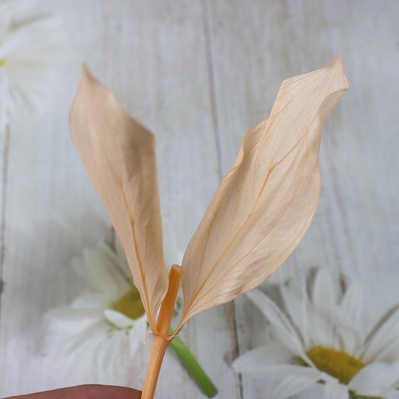 DIY Floral Art Ornament: Preserved Tangerine & Fishtail Leaf, Lily, Bamboo Dried Flowers – Ikebana Photo Prop for Home Décor.