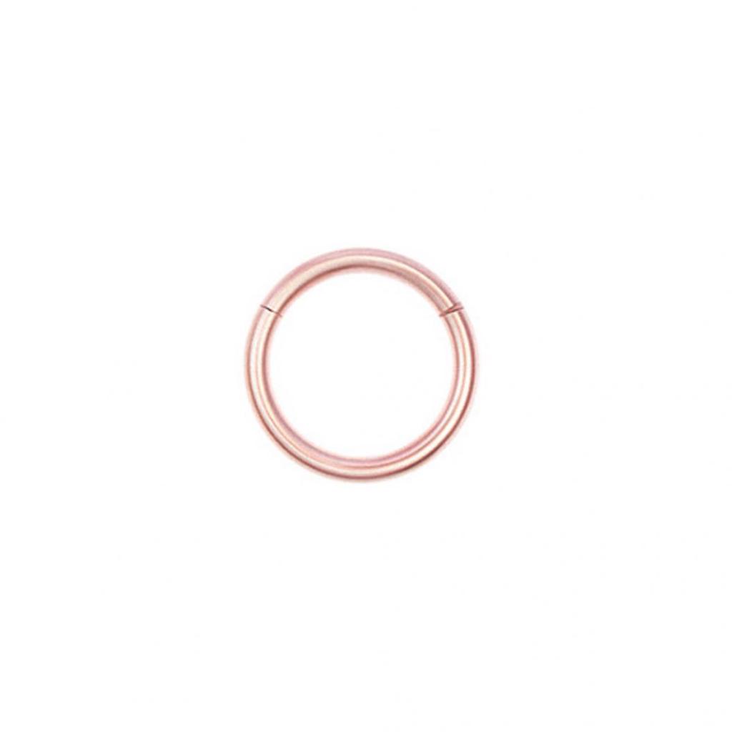 Stainless Steel Nose Ring Lip Ear Cartilage Body Piercing Septum Hoop Jewelry MIT