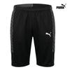 Puma Тренировочные брюки Liga 26