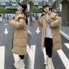 Bread and Clothing Long Down Cotton-padded Jacket Female Korean Version of Loose Autumn and Winter Cotton-padded Jacket Padded Cotton-padded Jacket