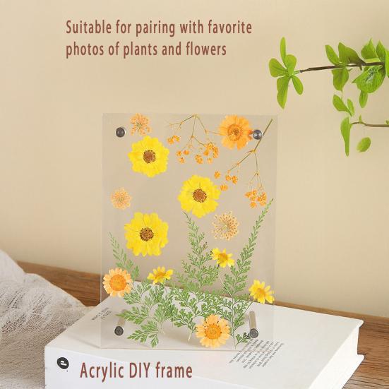 Acrylic Photo Frame Clear Picture Frames Tabletop or Wall Mount Display Frame