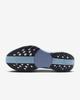 FQ7262-402 Nike Pegasus Plus Пепельно-серый Белый Чистый Платиновый Антрацит (Мужской)