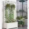 Outdoor White Wood Trellis Planter