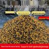 Black Gold Floating Bubble Bait Particles for Carp Fishing