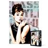 1000 Piece Jigsaw Puzzle - Audrey Hepburn 2, Popular Korean Puzzle