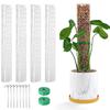 Climbing Plants Moss Pole Sphagnum Plants Plastic Moss Pole Versatile Plant Support Poles for Indoor Plants Adjustable Height