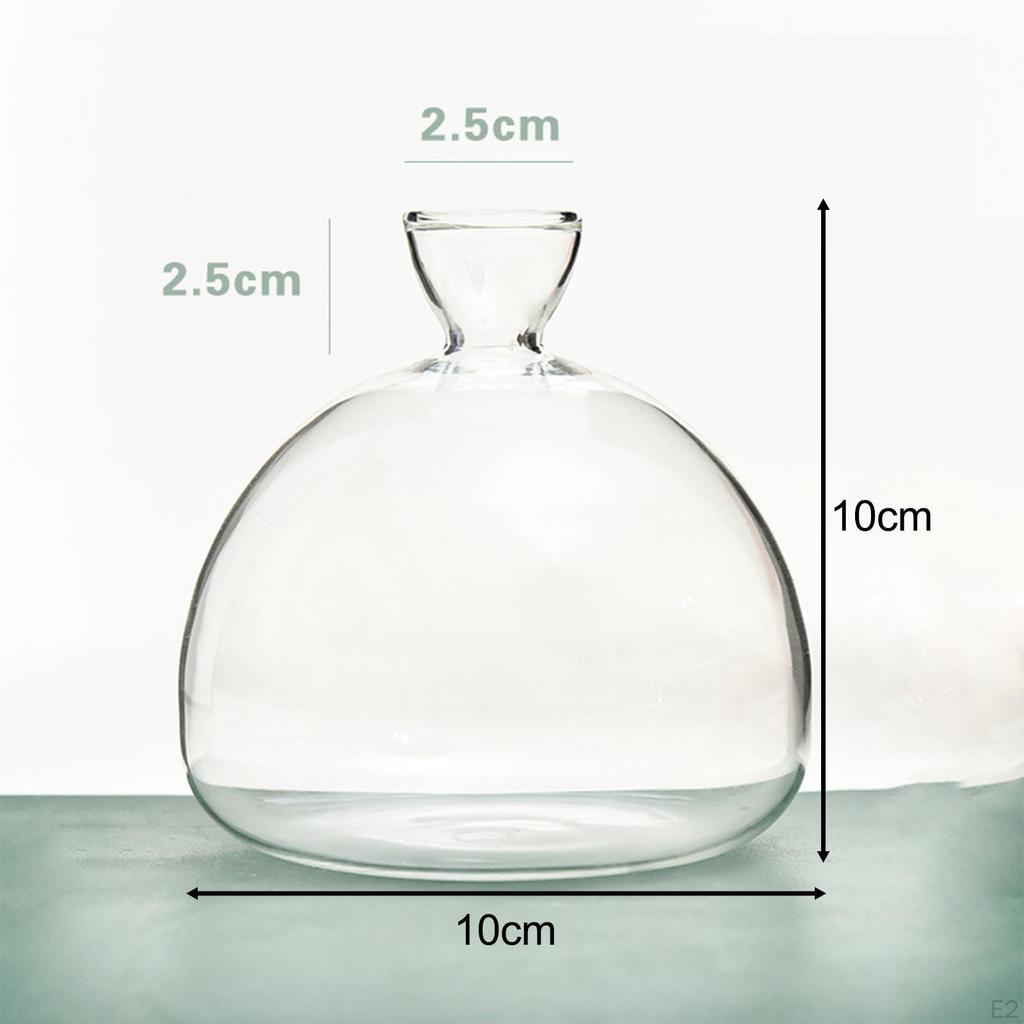 Ваза для начинающих из семян авокадо, прозрачное стекло, набор для выращивания деревьев авокадо в помещении