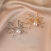 Personalized Alloy Spider Brooch Design Sense Niche Creative Brooch High-end and Light Luxury Clothing Brooch Accessory Brooch