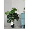 18 Green Leaves | Big Ornamental Plant for Interior Decor/Home Decor/Office Decor | 63.5 Cm Tall Natural Looking Plant