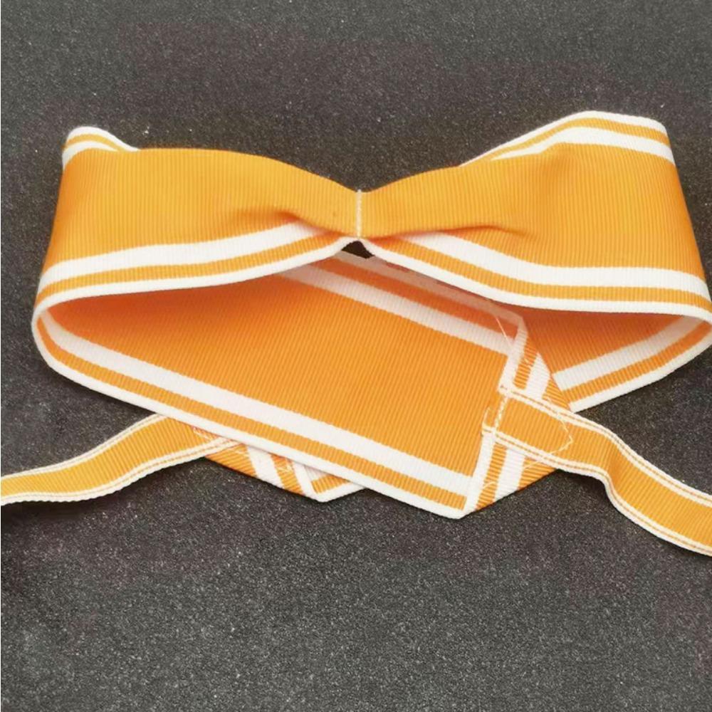 Лента для медали, тесьма для медали, соответствующая ленте