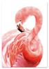 Pink Flamingo Poster