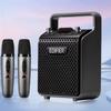 Edifier PP205S Портативная Bluetooth-колонка KTV с двумя микрофонами, штекер CN (адаптер в комплекте)