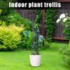 Шпалера для вьющихся растений комнатная металлическая опора для вьющихся растений опора для комнатных растений клетка для цветов стойка решетка для лиан для сада
