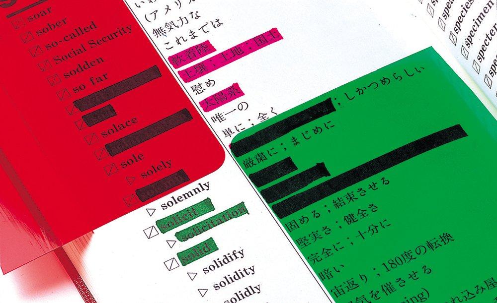 Zebra Memorization Check Alpha Set 10 Pieces Blue/Red B-P-SE-WYT20-BLR