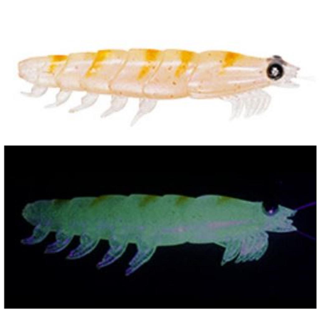 Daiwa Soft Lure Kaiteki Real Okiami L 42 Mm 5 Per Pack Luminous Nama (6443)