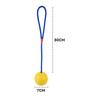 Dog Ball with Rope Interactive Dog Toy Pull and Throw Toy for Small Dogs Indoor Outdoor Exercise Play