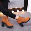 Fashion Winter 2024 New High Heeled Women Boots Cross Straps Short Boots Comfortable Waterproof Boots Warm Plus Size 42 Botas Femininas