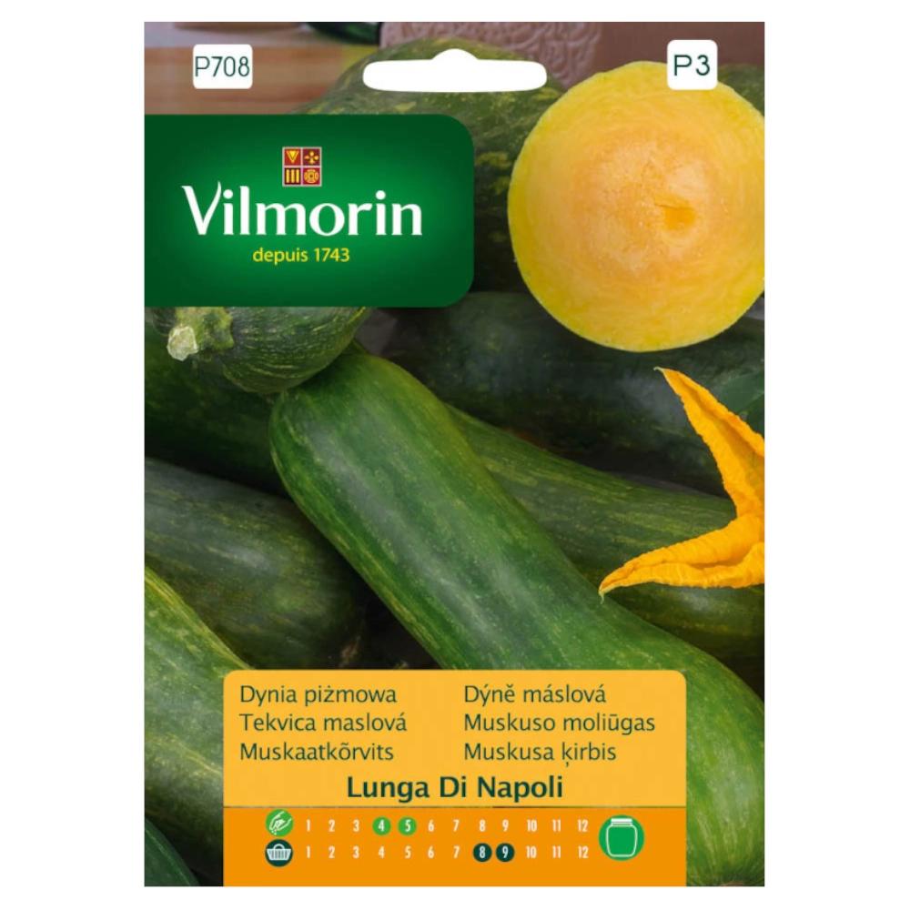 Butternut Squash Lunga Di Napoli 2g Seeds - Vilmorin