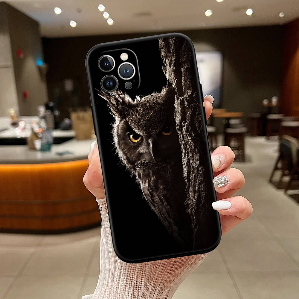 Cartoon Art Owl New Phone Case for iPhone 6 6s 7 8 11 12 13 14 15 16 17 16E XS Pro Max XR X SE Air
