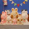 Cute Doodle Rabbit Plush Toys Little Bunny Doll Pushing Pillow Girls Birthday Gift Children's Dolls