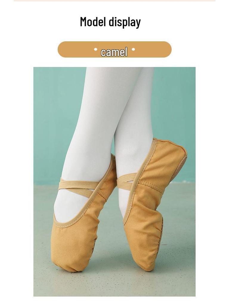Girls' Strapless Non-Slip Soft Sole Ballet and Modern Dance Shoes