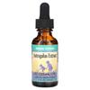 Astragalus Extract, 1 Fl Oz (30 Ml)