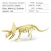 Fossil Dinosaur Skeleton Model With Plastic Material For Kids Decor Educational