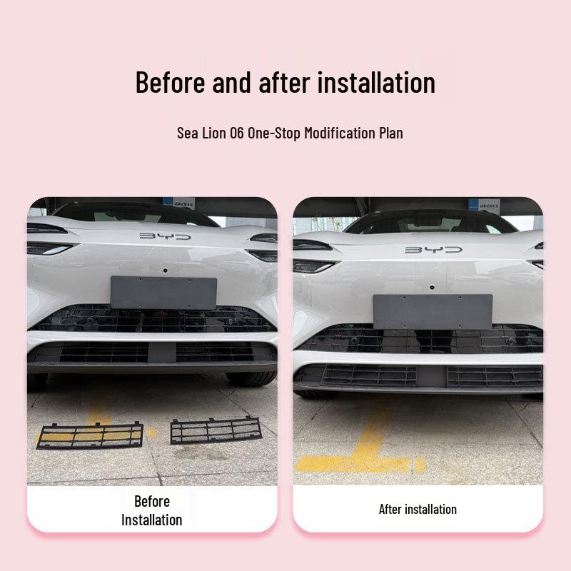 BYD Sea Lion 06 Съемная передняя решетка Защитная сетка от насекомых