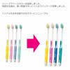 Ebisu Rig Mountain Toothbrush, Regular, 12-Pack