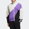 Adidas Мужская спортивная куртка NEO с воротником-стойкой HC9681