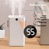 Large Capacity USB Home Humidifier Bedroom Spray Double Spray Humidifier Office Mute