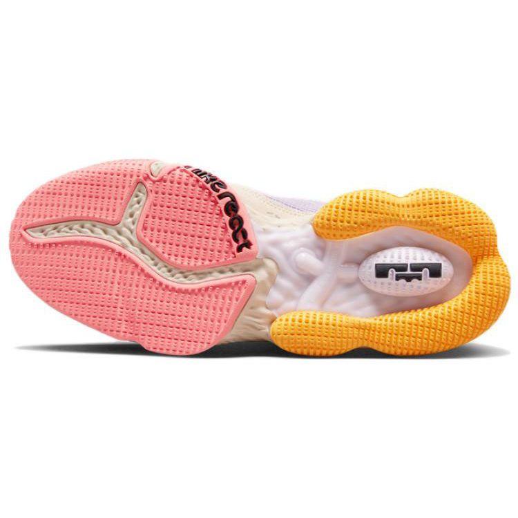 Nike Кроссовки унисекс LeBron 19 Low Mismatch разноцветные сиреневые темно-дымчато-серые DO9828-500