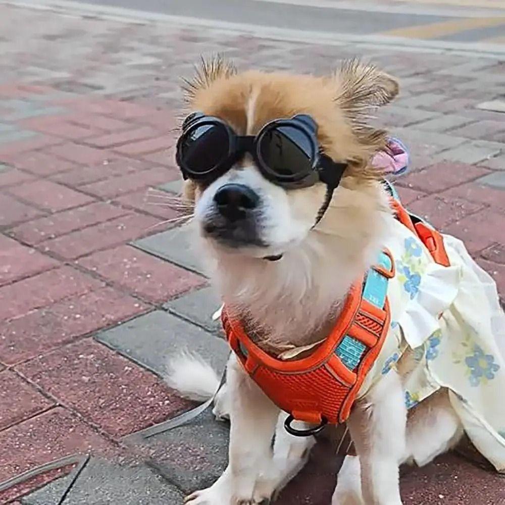 Cool Cat Dog Glasses Anti UV Dog Sun Eyewears Dog Eye Wear Dog Sunglasses Puppy